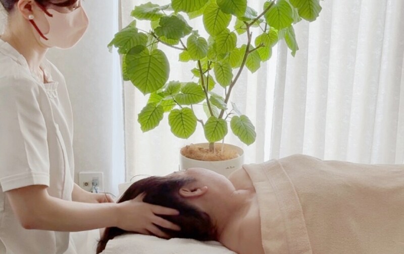 選べるエステ　月2回