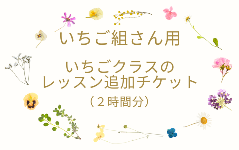 いちご組さん用【いちごクラスのレッスン(火水15時より)追加チケット】