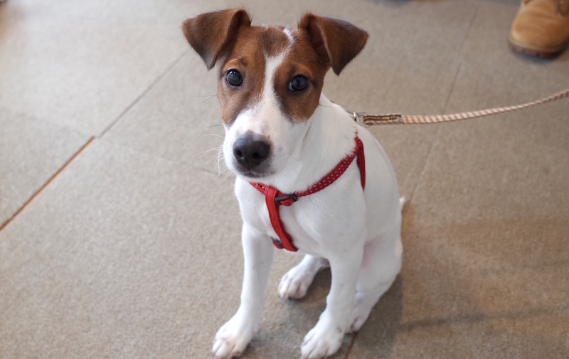 アドバンス8回チケット　【10％off】