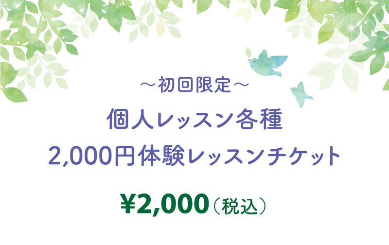 個人レッスン各種初回体験2,000円レッスン