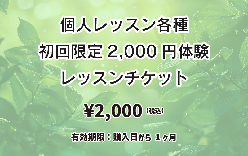 個人レッスン各種初回体験2,000円レッスン