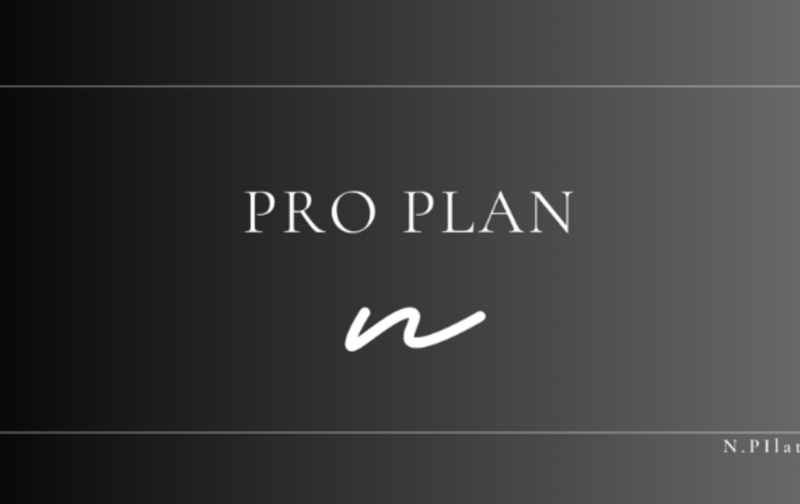 月４回プロプラン