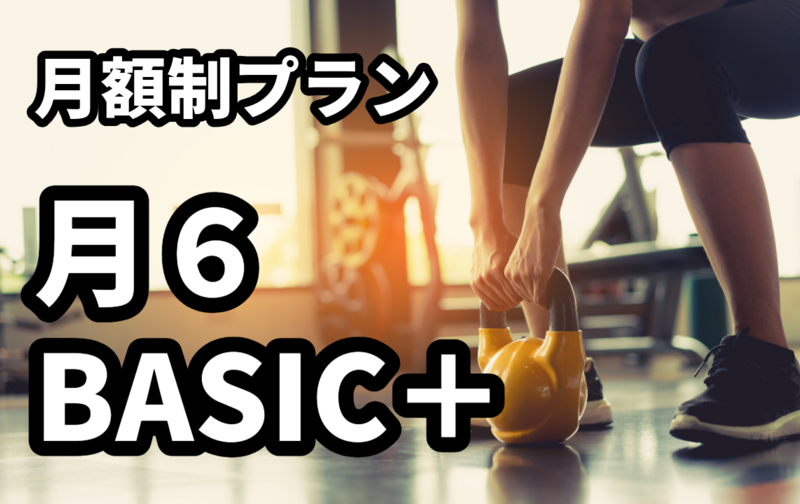 【月額制】月６BASIC plus