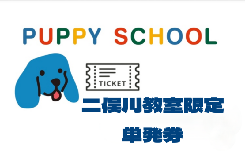 パピークラス　二俣川教室限定　【単発券】
