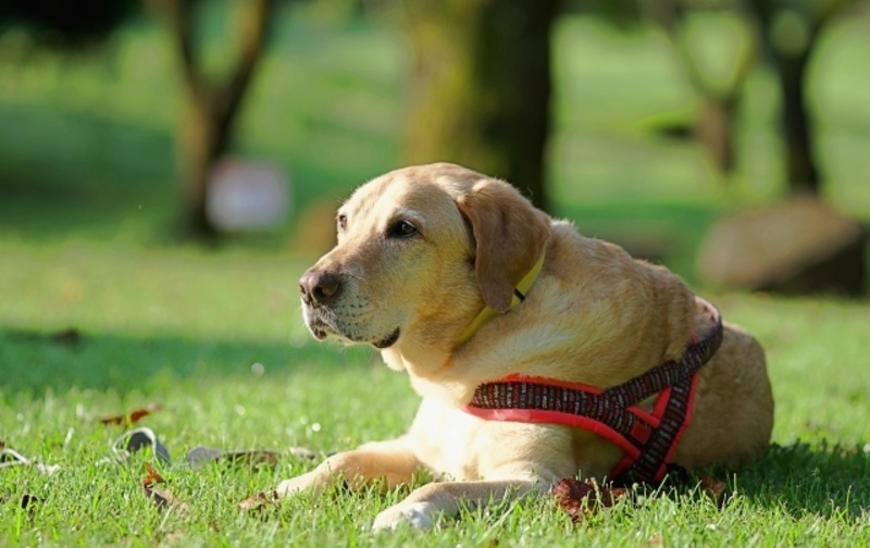 マンスリープラン［ABゾーン］30分