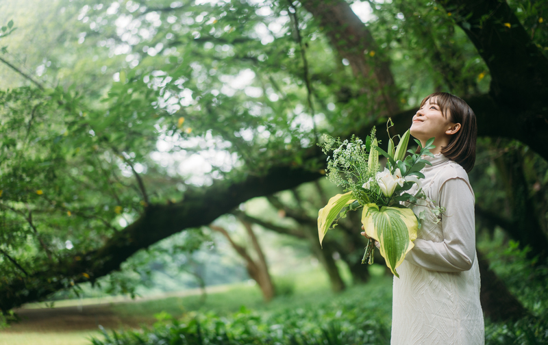 「VIPメンバー」プラン