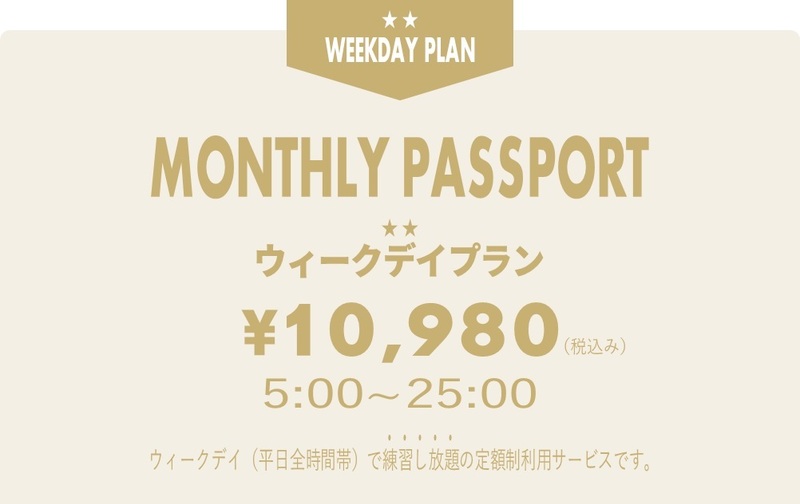 【マンスリーパス】ウィークデープラン【ｺｰﾄﾞ11】