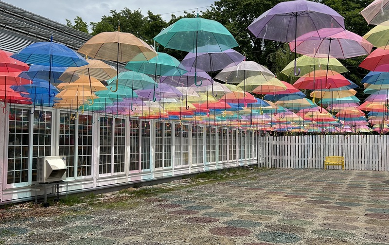 【３名様用】話し方•ビジネスマナー講座      ３名様６回分(40分×6回)チケット