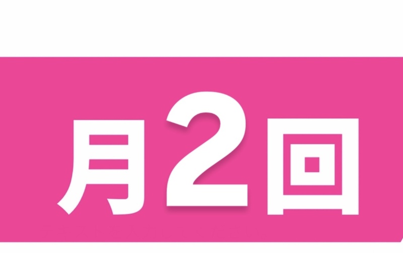 月2回/選択枠
