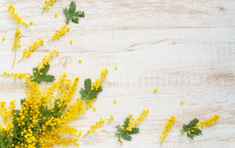 12回　ビジネス目標達成の技術