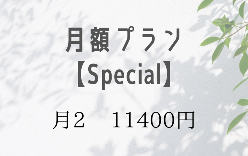 月額プラン【Special】月2
