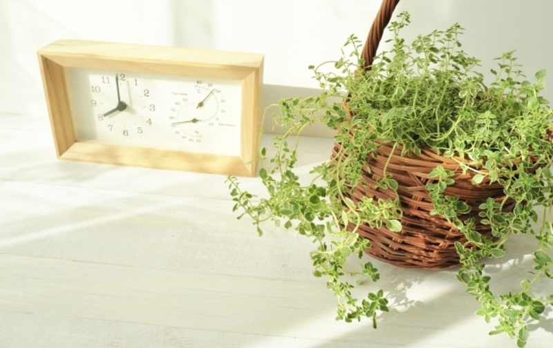 【モニター様・受講全12回】発達凸凹kidsペアレントトレーナー