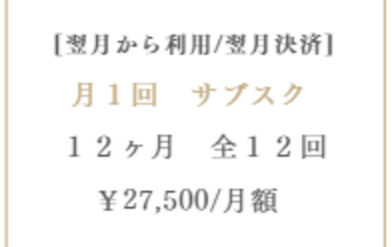 翌月から利用/翌月決済【月１回】全１２回_１２ヶ月コース