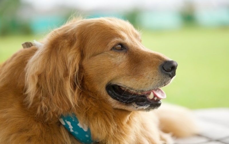 マンスリープラン［ABゾーン］60分