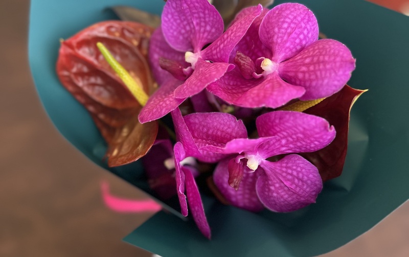 ダイエットセラピー定額4回コース