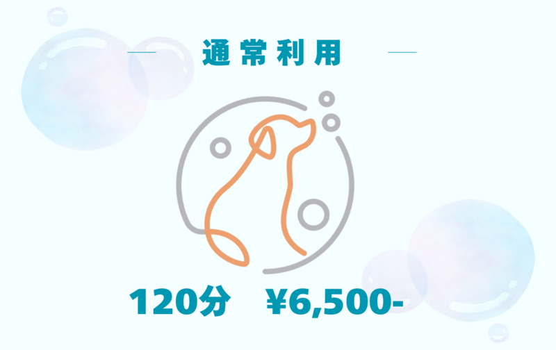 通常利用【120分　1回分】（6,500円）
