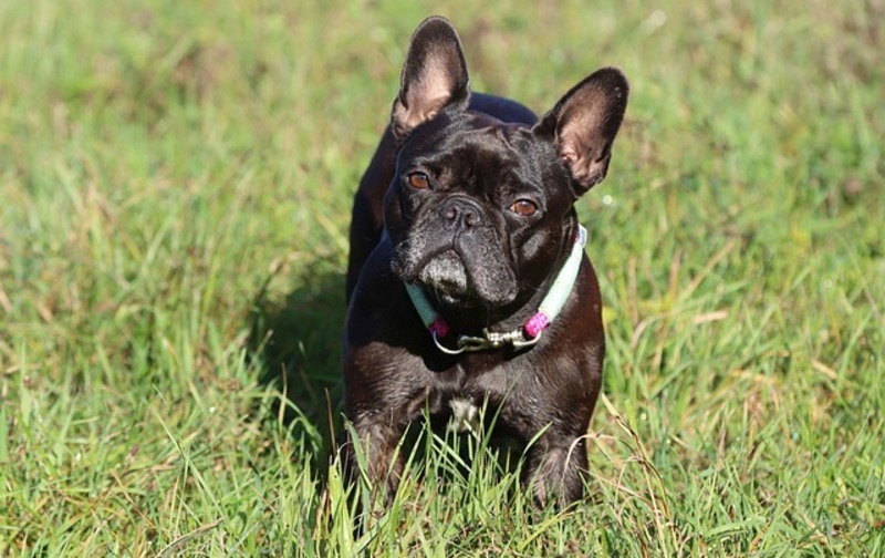 マンスリープラン［ABゾーン］90分