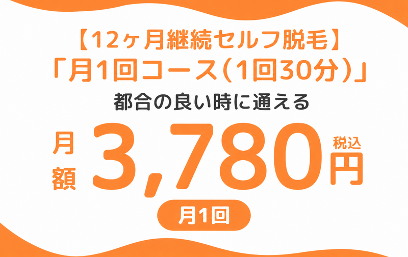 12ヶ月契約　セルフ脱毛「月1回コース（1回30分）」