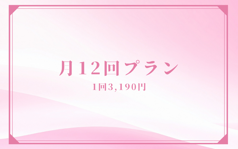 月12回プラン