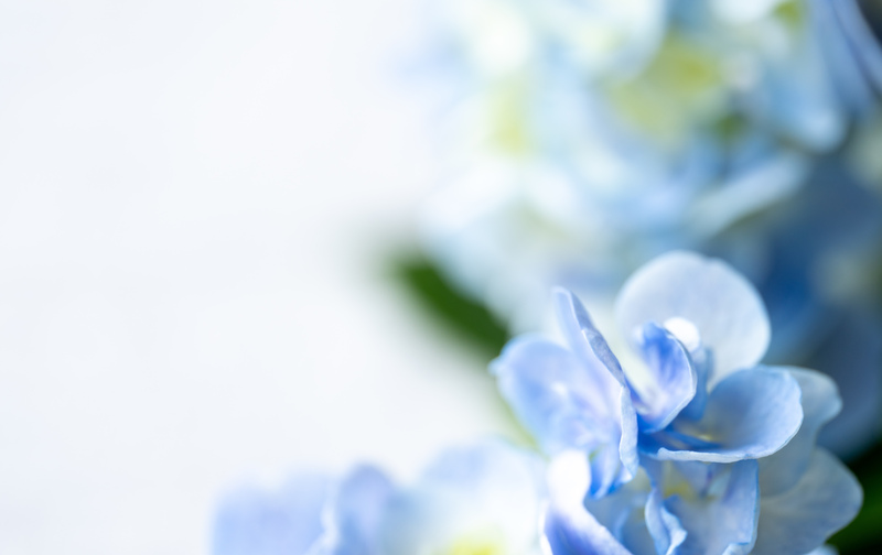 大和心コミュニティ