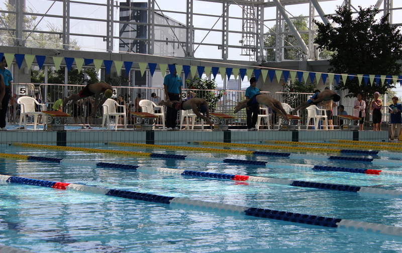 会員制：乗馬＆水泳（2種目）乗馬週1回，水泳週1回（合計8回）