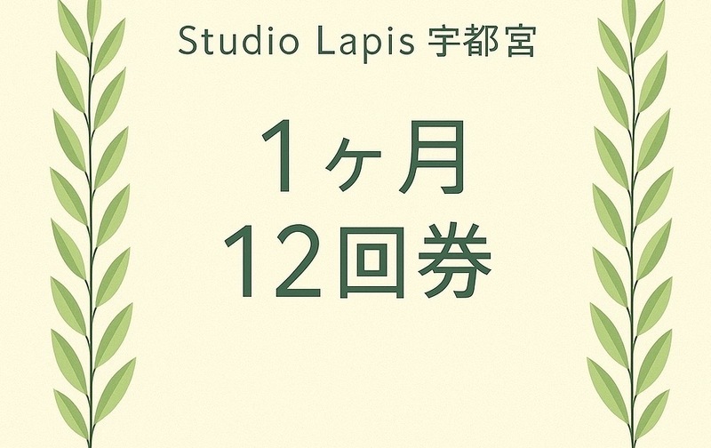 12回券（１ヶ月期限）