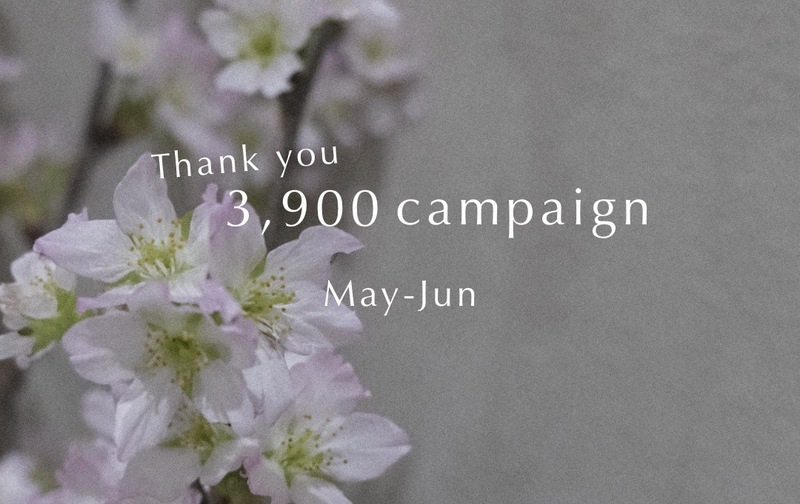 【受付終了】Thank you pass 3900en