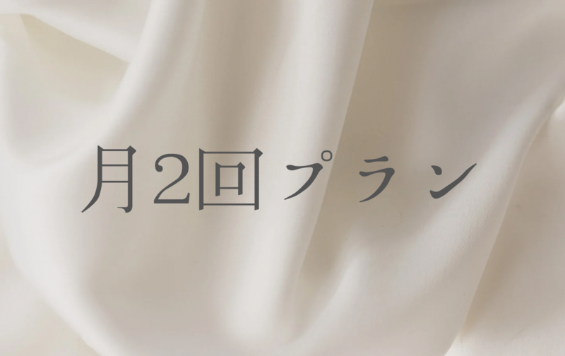月2回プラン