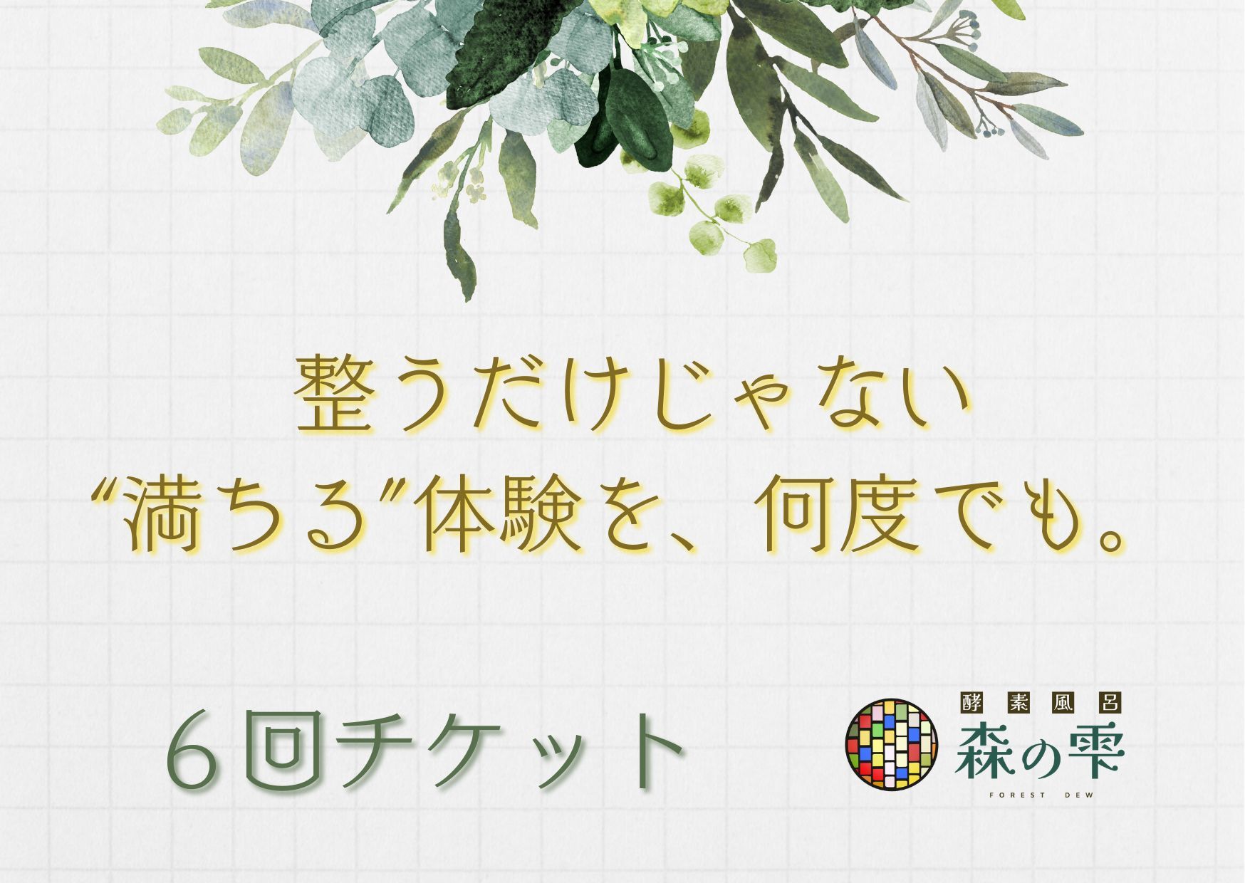 青戸酵素風呂 回数券 9枚 酵素風呂 森の雫の月謝・回数券