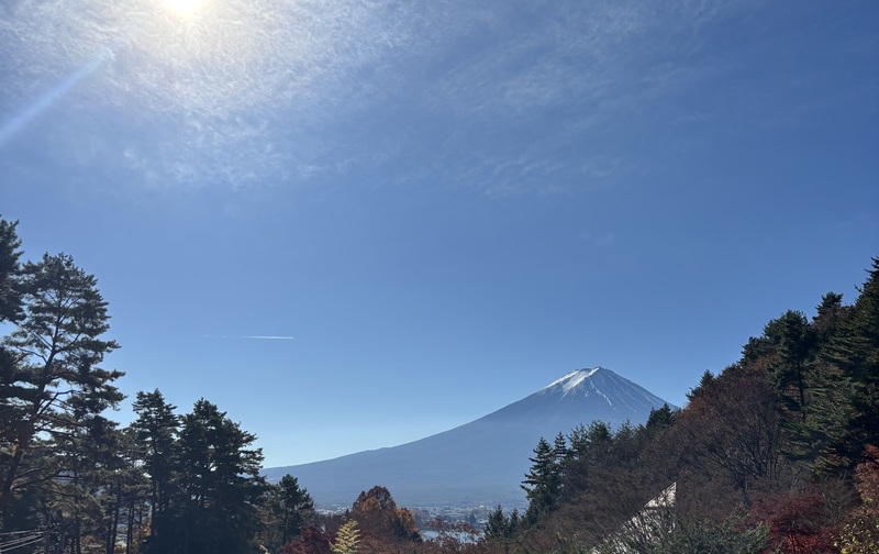 New mix グループレッスン月2回✖️プライベートレッスン月2回/40分　税抜¥17,280