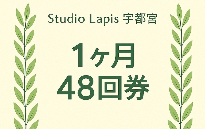 48回券（１ヶ月期限）