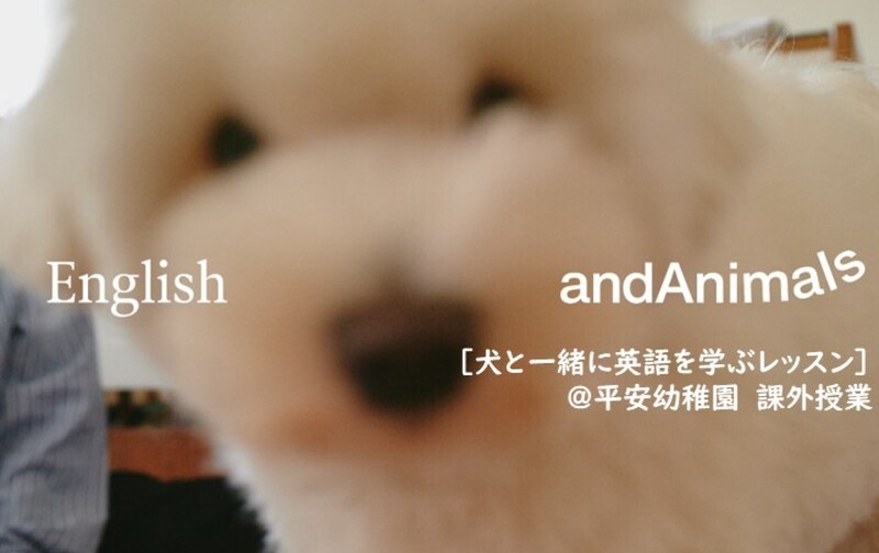 English and Animals@平安幼稚園課外授業（1日はじまり）