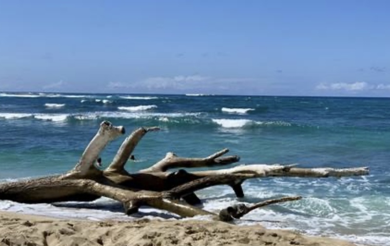 腸揉み20回チケット→要相談（初回から有効期限半年）