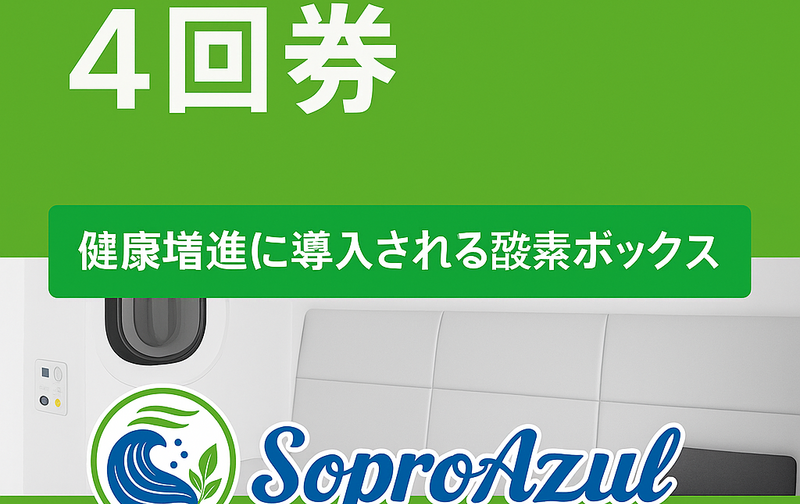 ４回券【１回60分利用】
