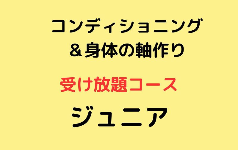 【ジュニア】受け放題コース：コンディショニング＆身体の軸作り