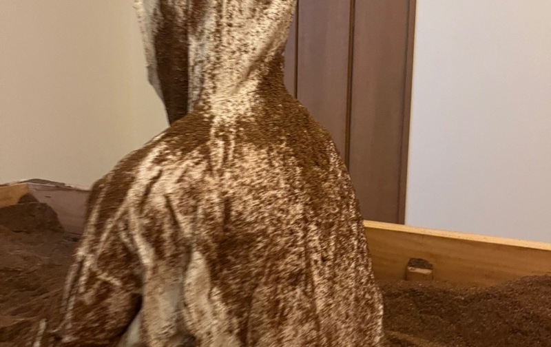 12/31までにご希望の方限定 3ヶ月間通い放題【代謝アップコース】