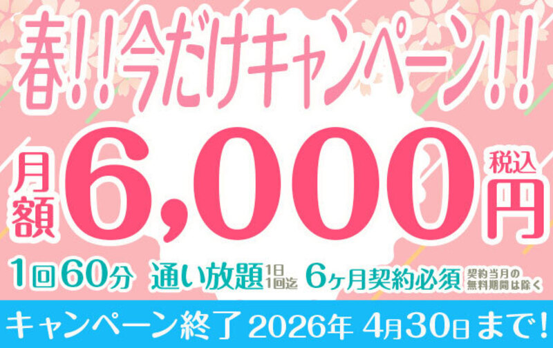 春！！今だけキャンペーン！！