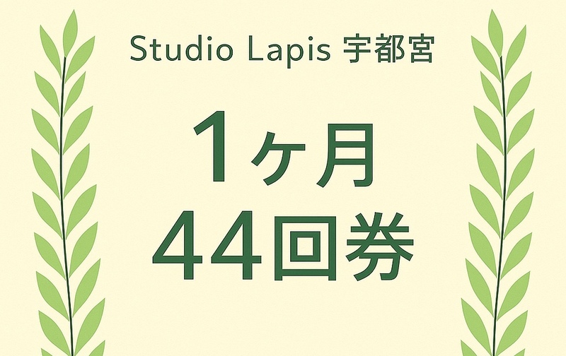 44回券（１ヶ月期限）