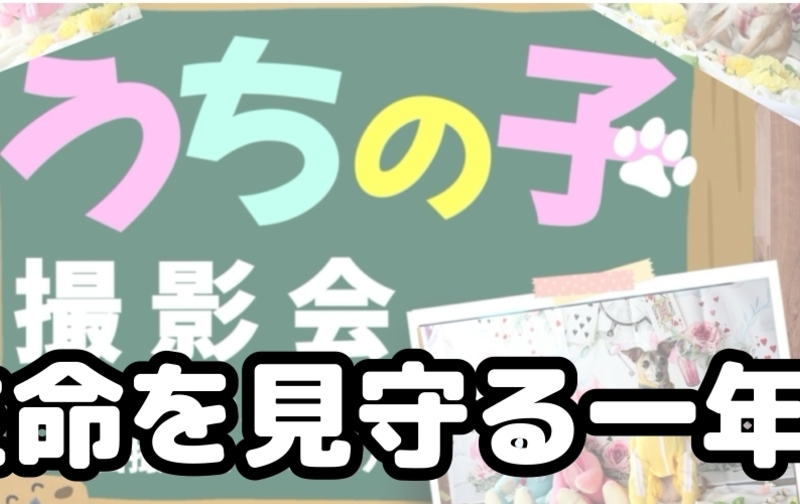 大切な命を見守る一年プラン
