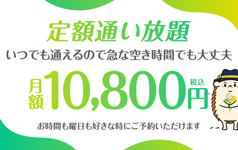 定額「通い放題」（10,800円）ペア利用可