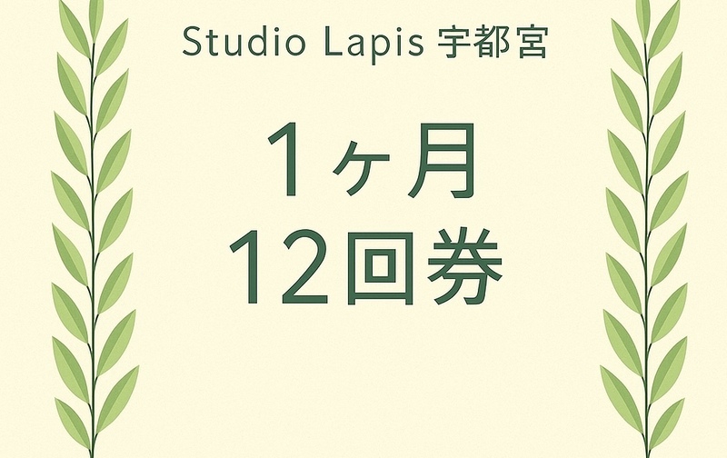 12回券（１ヶ月期限）