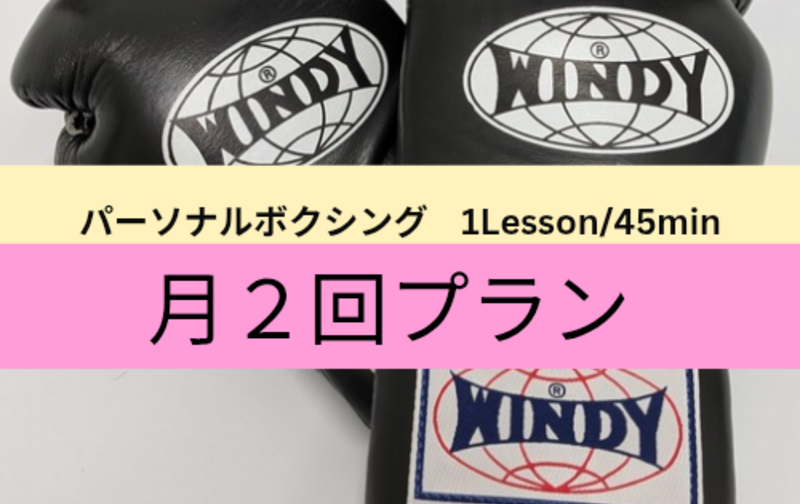 月２回プラン［1Lessn/45min］