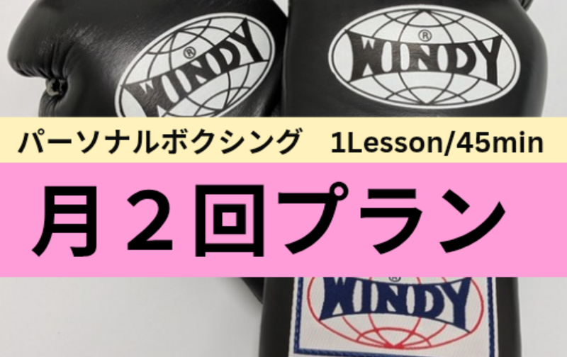 月２回プラン［1Lessn/45min］