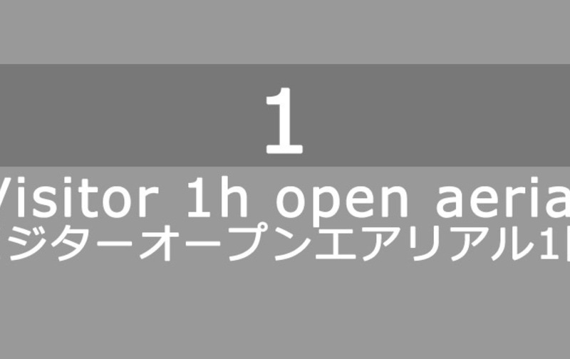 ビジターオープンエアリアル1回 Visitor 1h open aerial 