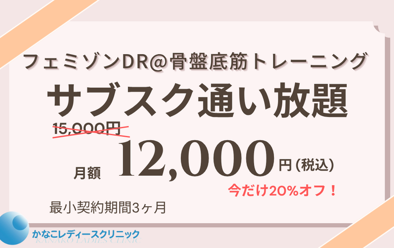 服を着たまま15分座るだけの骨盤底筋トレーニング！3ヵ月で尿漏れ改善・膣トレ・ぽっこりお腹引き締めプラン