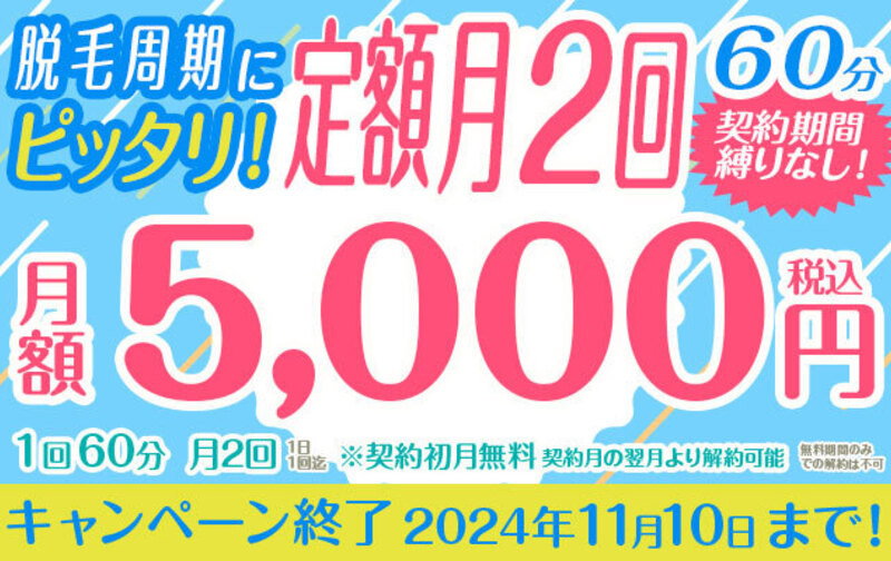 契約縛り無し【初月無料】月額5000円 1回60分 月2回プラン（ペア利用可）