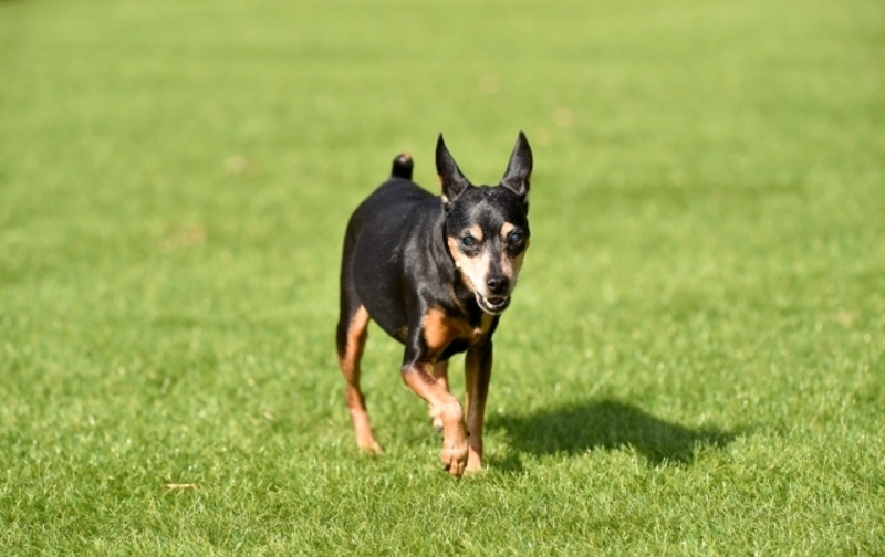 マンスリープラン［ABゾーン］120分