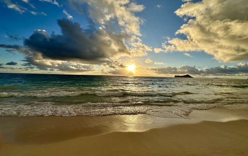 ロミロミ解剖学講座 & デコルテ・ヘッド・フェイス コース