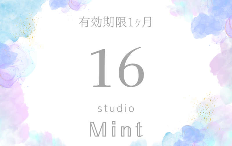 16回券(有効期限1ヶ月)