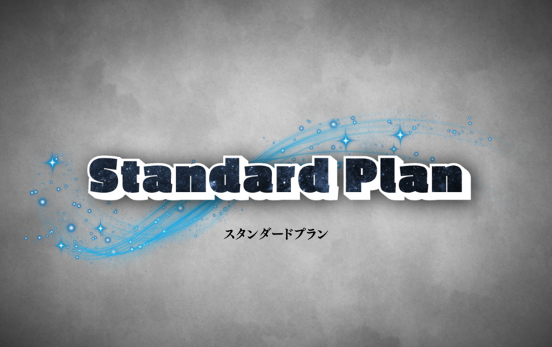 スタンダードプラン